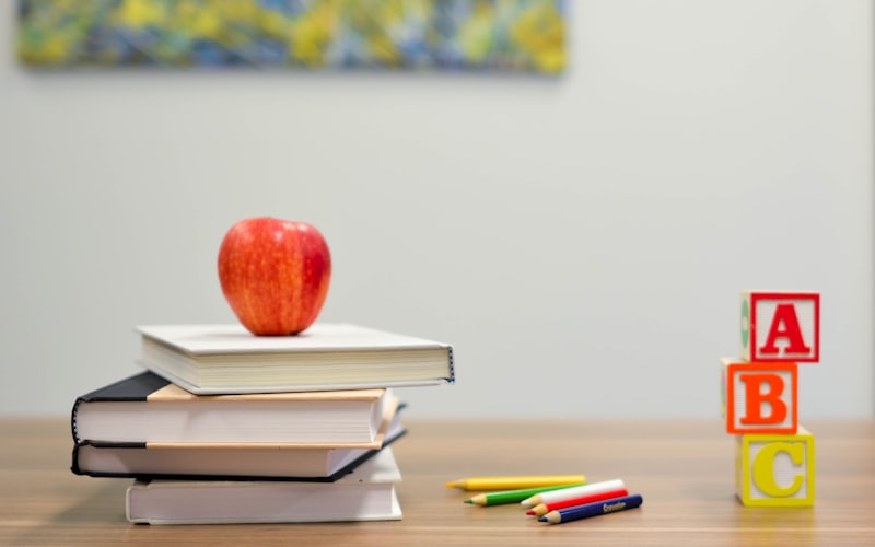 One-on-one tutoring session with notes and a phrase sheet